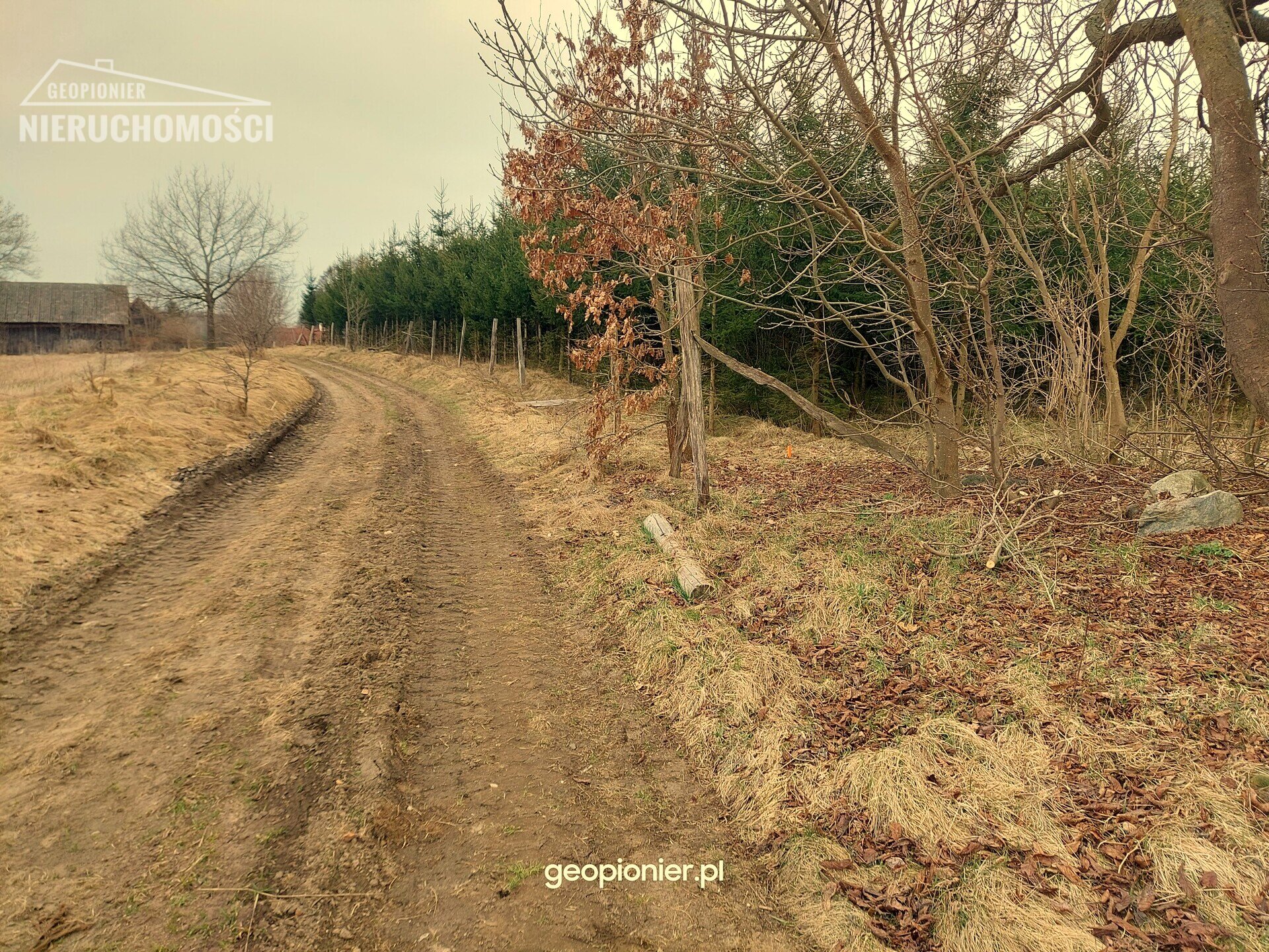 Siedlisko - Boguszewo gmina Miłomłyn, powiat ostródzki, na skraju wsi zabudowana działka gruntu o pow. 1,1754 ha - zdjęcie 5