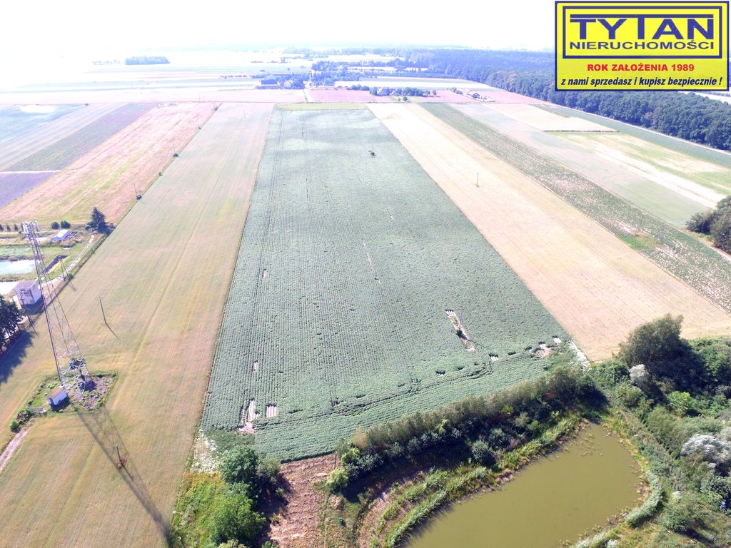 Działka rolna 3010 m², Jeziorko - zdjęcie 6