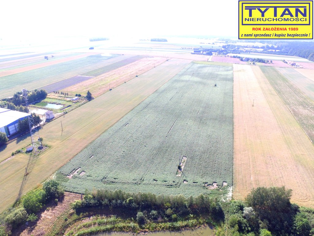 Działka rolna 3010 m², Jeziorko - zdjęcie 5