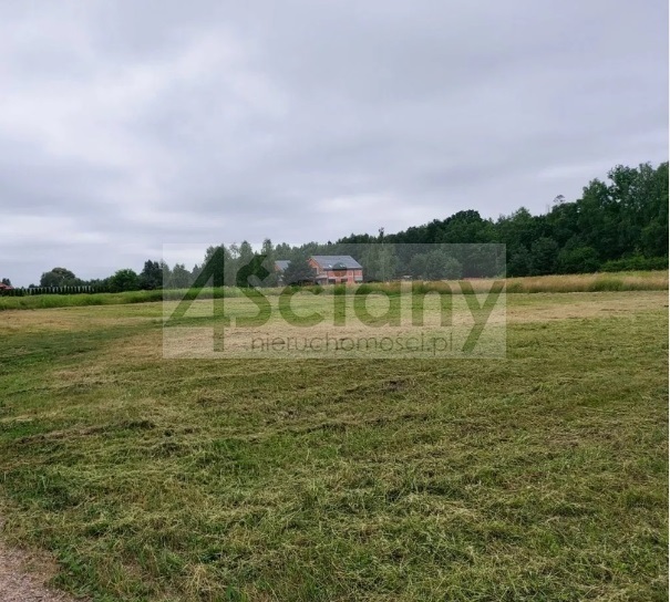 Działka budowlana 2438 m², Strzeniówka - zdjęcie 2