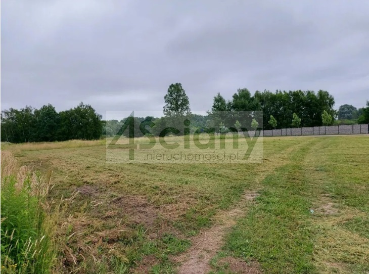 Działka budowlana 2438 m², Strzeniówka - zdjęcie 3