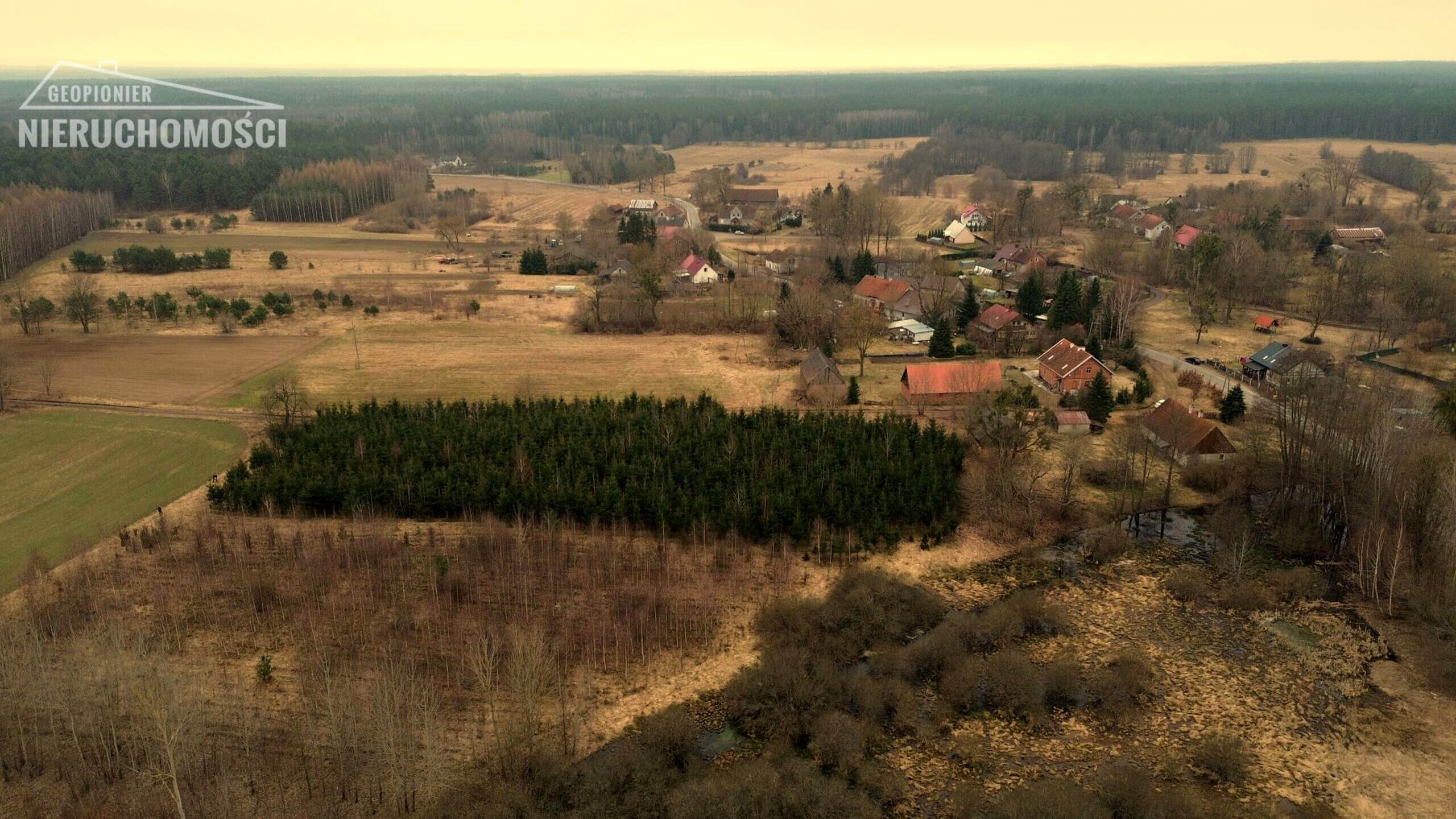Ostróda - Boguszewo, działka 9085 m2 - zdjęcie 3