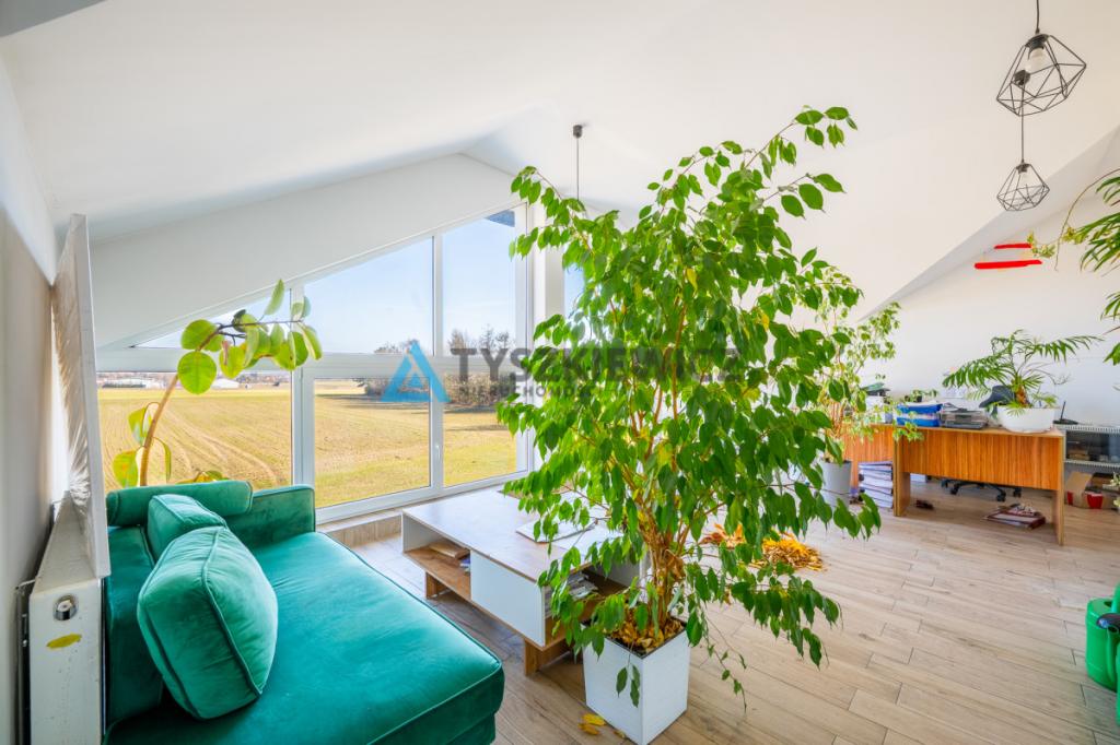 Budynek gotowy pod biznes przy DW240 | 274 m² - zdjęcie 10