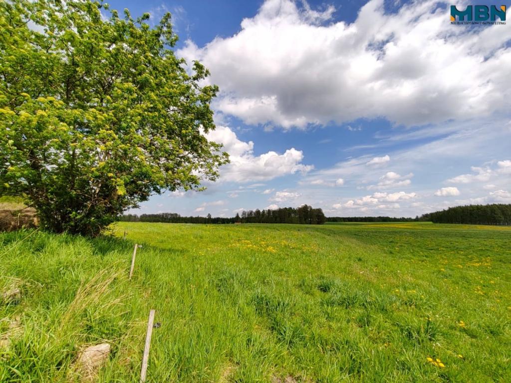 Działka gospodarstwo 4,00&nbsp;ha, Kamionki - zdjęcie 7