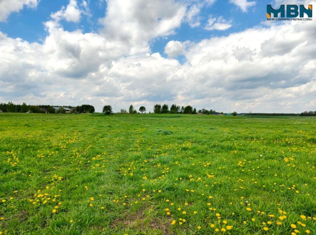 Działka gospodarstwo 4,00&nbsp;ha, Kamionki - zdjęcie 14