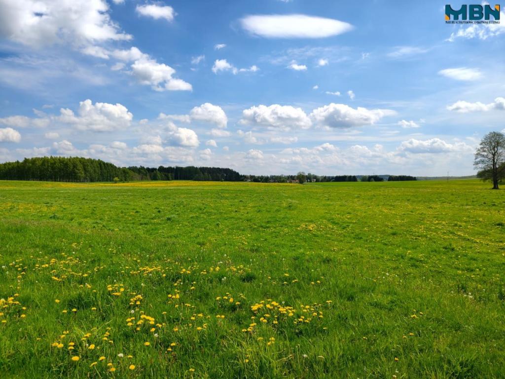 Działka gospodarstwo 4,00&nbsp;ha, Kamionki - zdjęcie 9