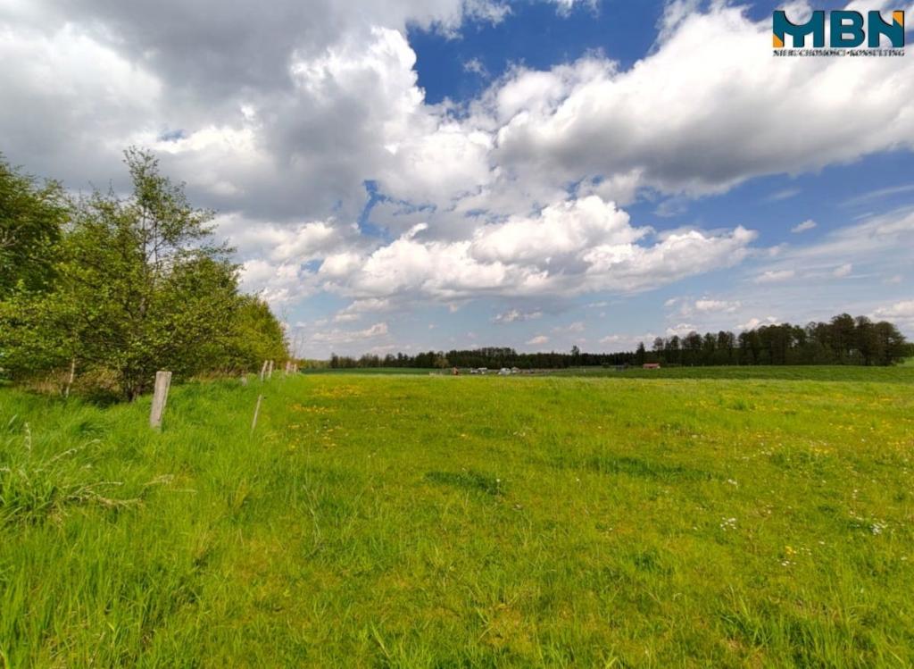 Działka gospodarstwo 4,00&nbsp;ha, Kamionki - zdjęcie 8