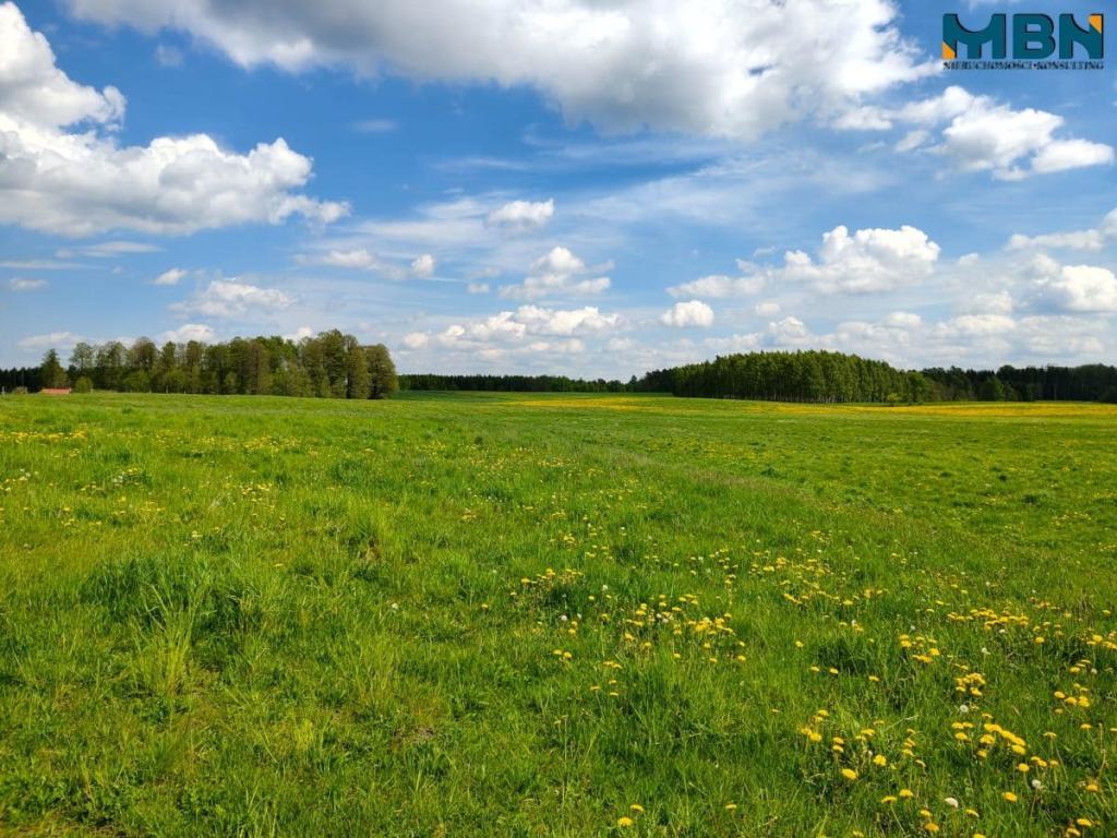 Działka gospodarstwo 4,00&nbsp;ha, Kamionki - zdjęcie 11