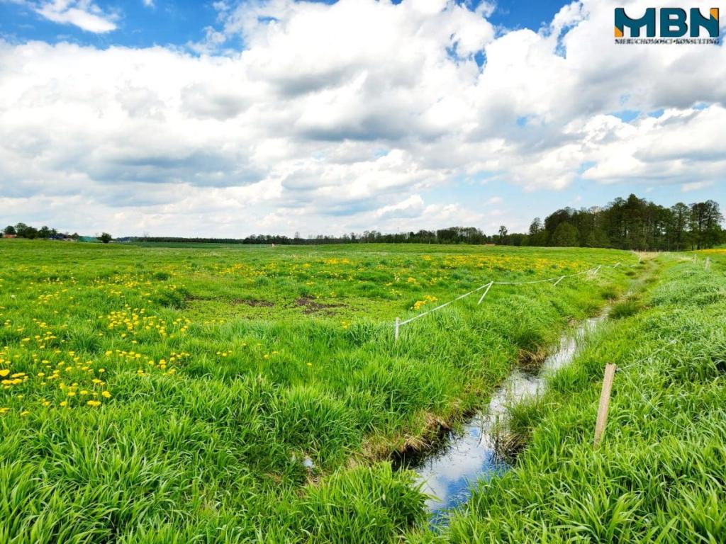Działka gospodarstwo 4,00&nbsp;ha, Kamionki - zdjęcie 12