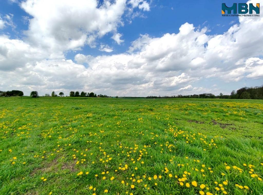 Działka gospodarstwo 4,00&nbsp;ha, Kamionki - zdjęcie 15