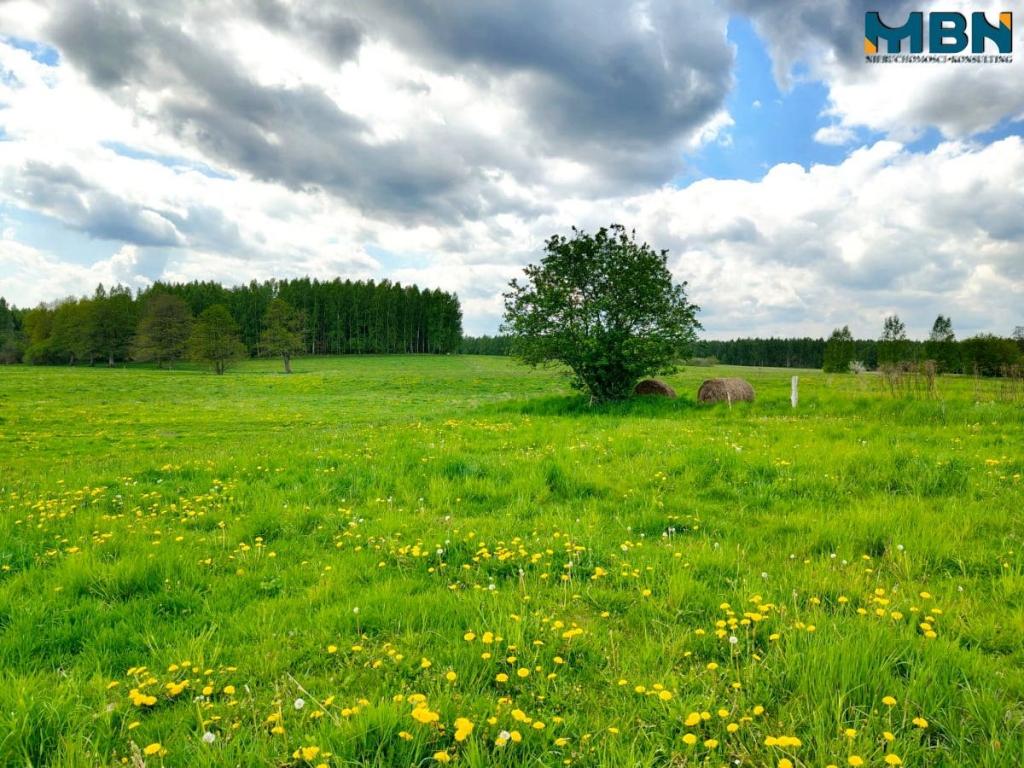 Działka gospodarstwo 4,00&nbsp;ha, Kamionki - zdjęcie 17