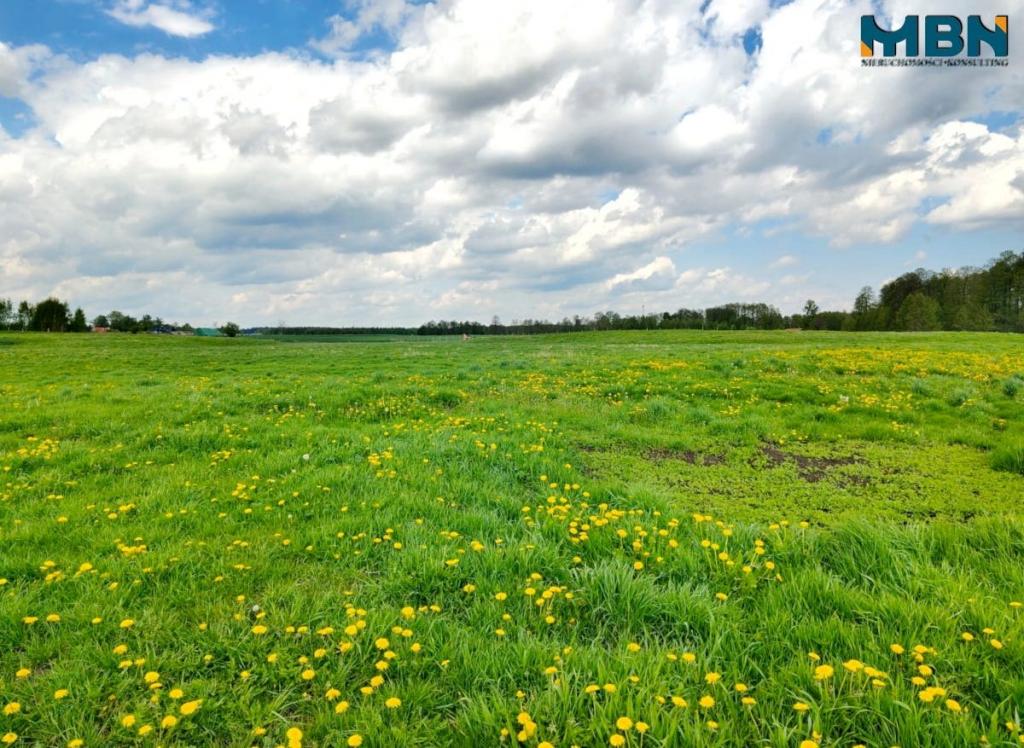 Działka gospodarstwo 4,00&nbsp;ha, Kamionki - zdjęcie 13