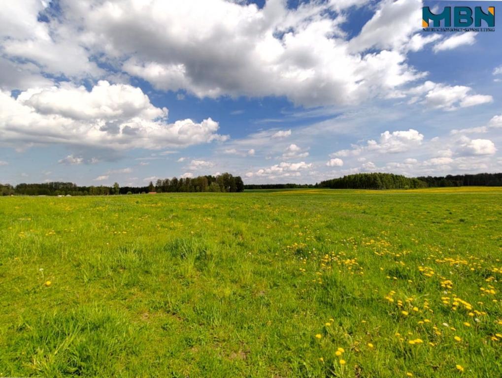 Działka gospodarstwo 4,00&nbsp;ha, Kamionki - zdjęcie 10