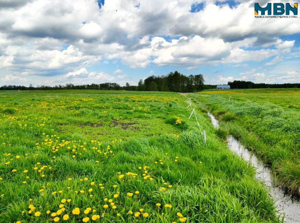 Działka gospodarstwo 4,00&nbsp;ha, Kamionki - zdjęcie 16