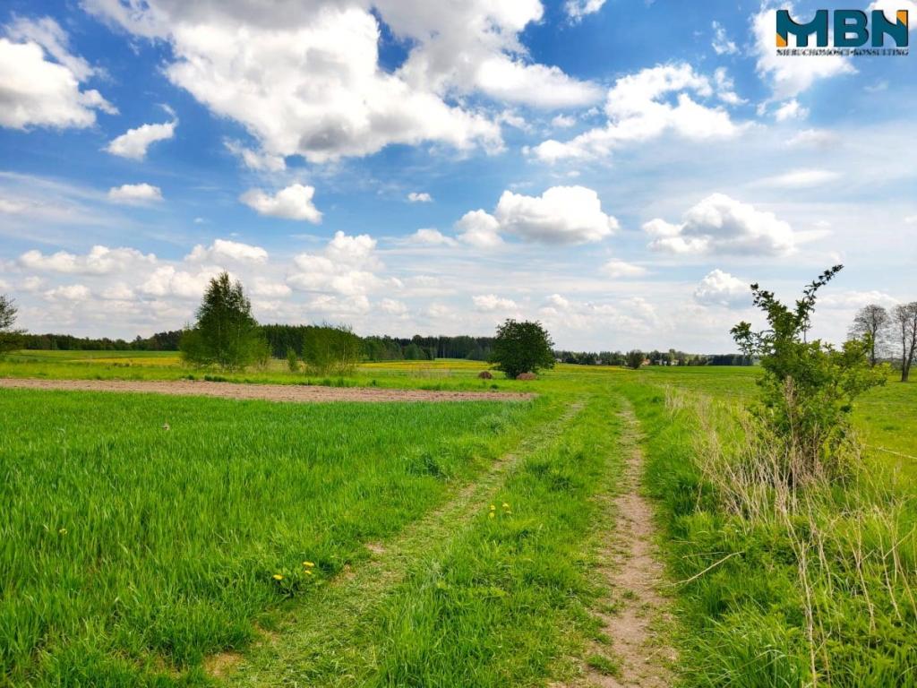 Działka gospodarstwo 4,00&nbsp;ha, Kamionki - zdjęcie 18