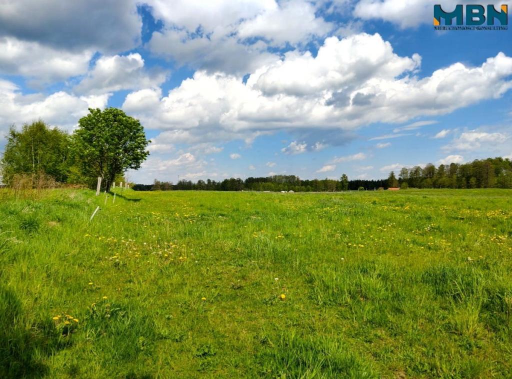 Działka gospodarstwo 4,00&nbsp;ha, Kamionki - zdjęcie 6