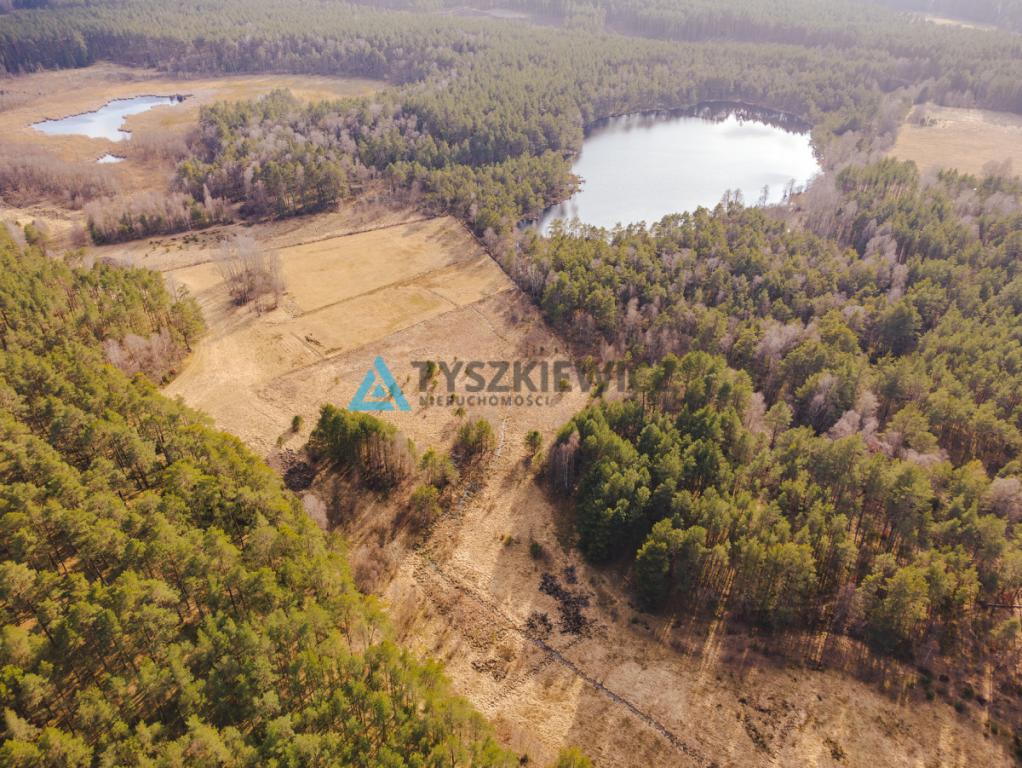 Piękna działka Rotembark - zdjęcie 2