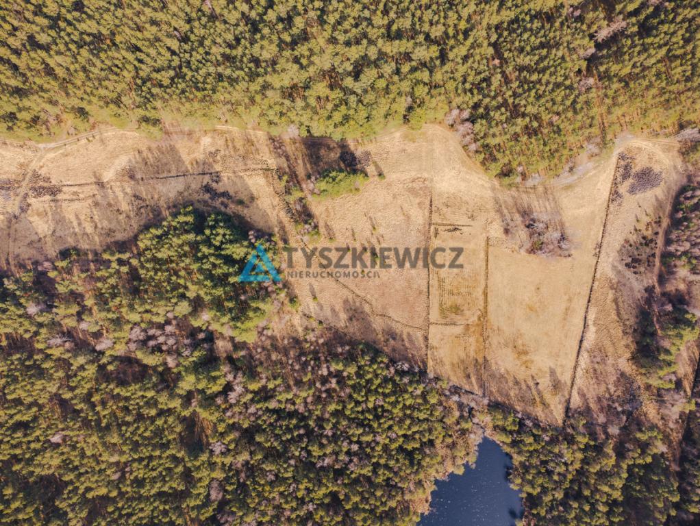 Piękna działka Rotembark - zdjęcie 12