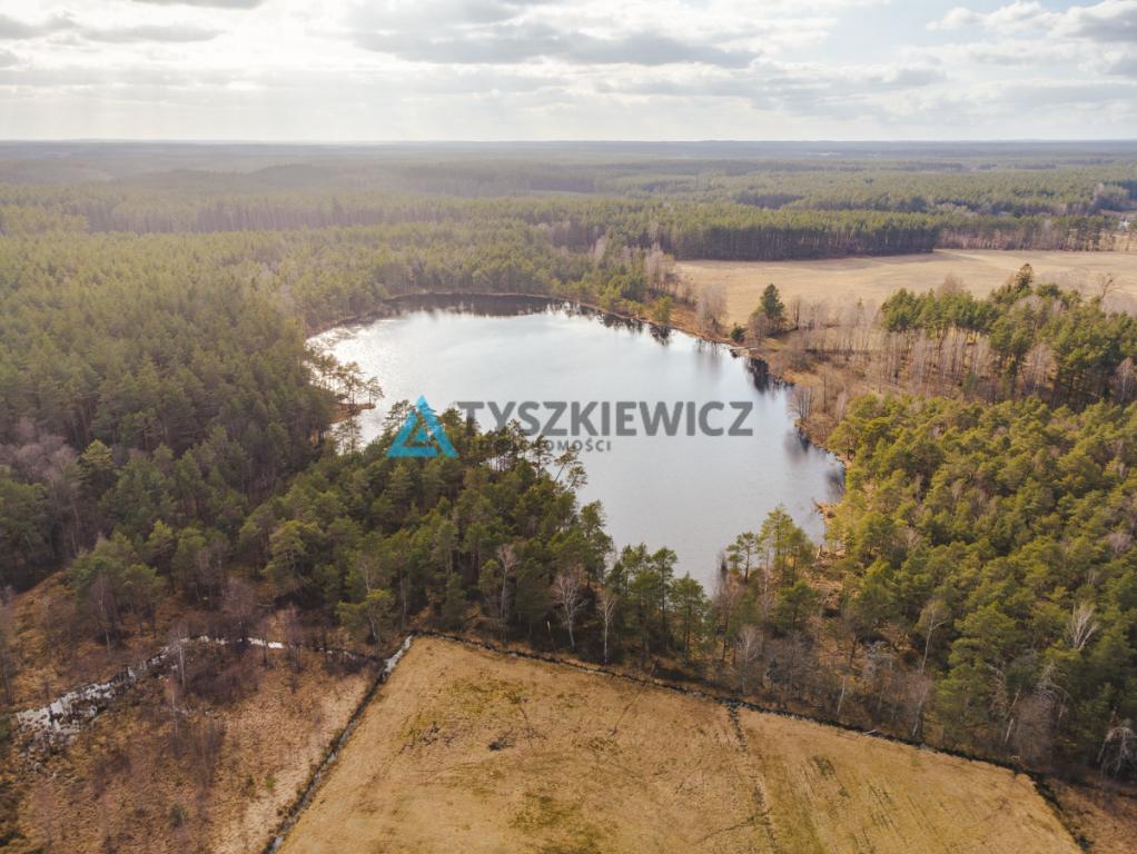 Piękna działka Rotembark - zdjęcie 11
