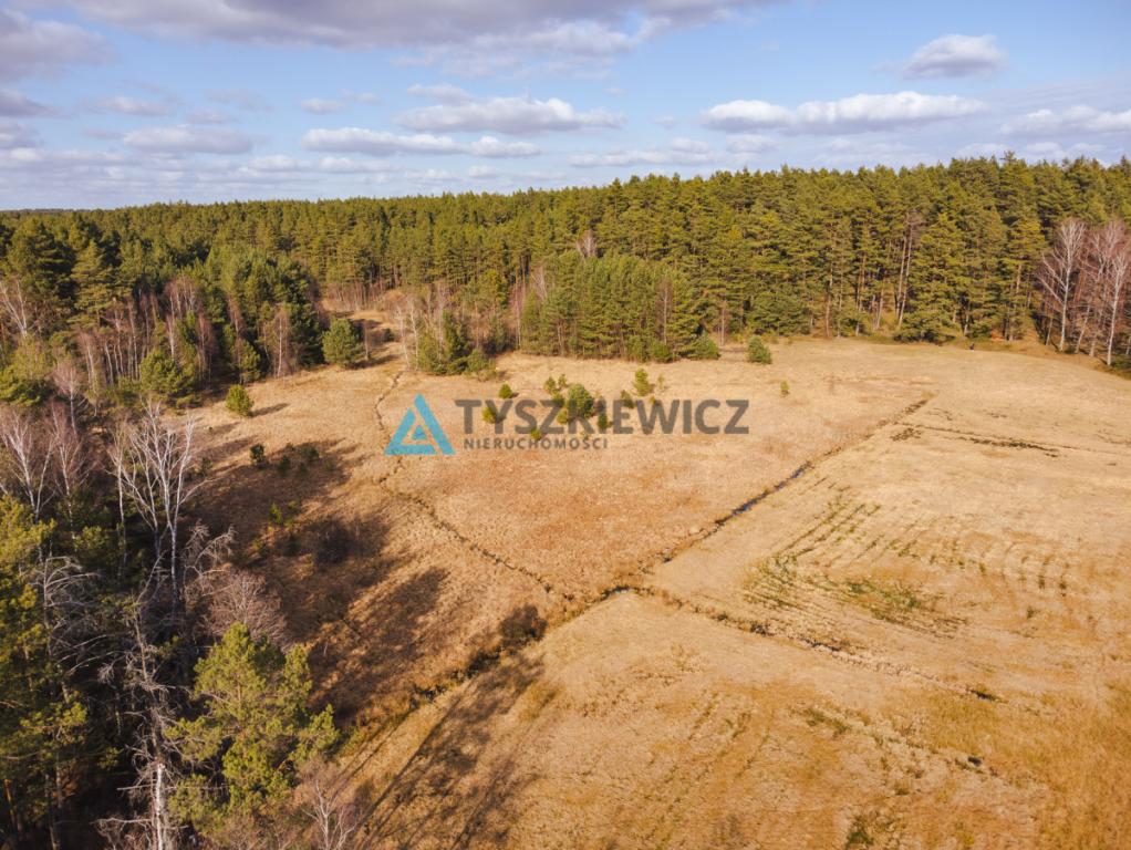 Piękna działka Rotembark - zdjęcie 10