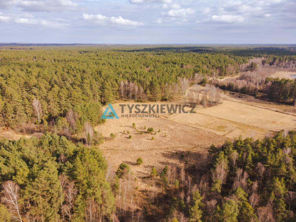 Piękna działka Rotembark - zdjęcie 9