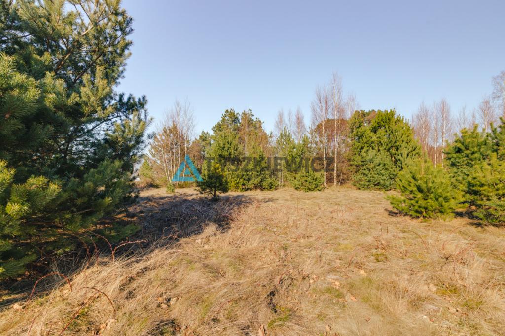 Działka budowlana 828 m² Szczenurze | Gmina Wicko - zdjęcie 9