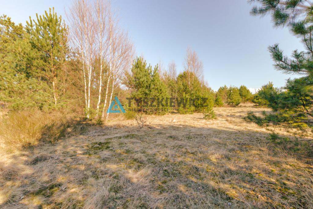 Działka budowlana 828 m² Szczenurze | Gmina Wicko - zdjęcie 8