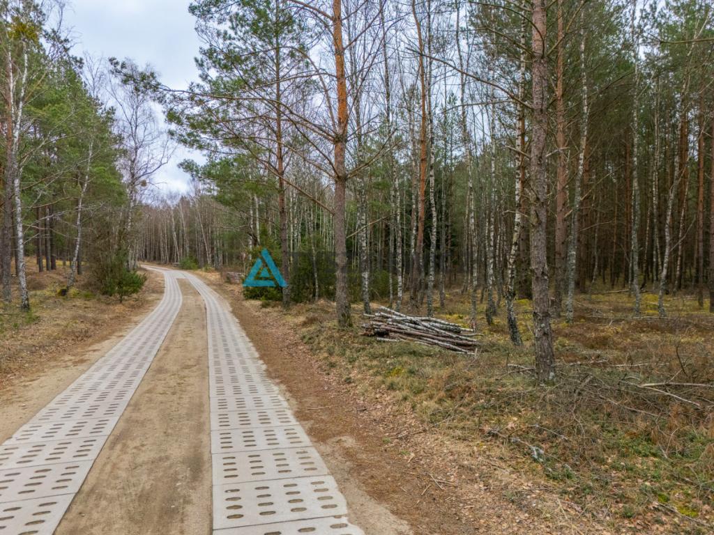 Działka leśna 6,72 ha | Jonki | gmina Konarzyny - zdjęcie 9