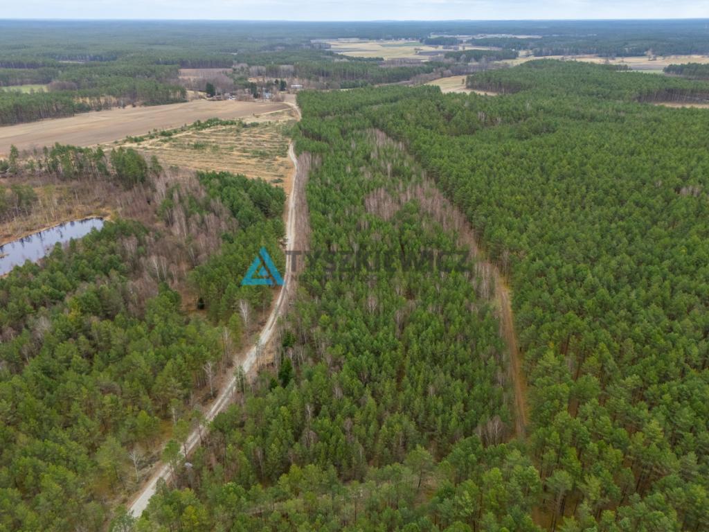 Działka leśna 6,72 ha | Jonki | gmina Konarzyny - zdjęcie 22