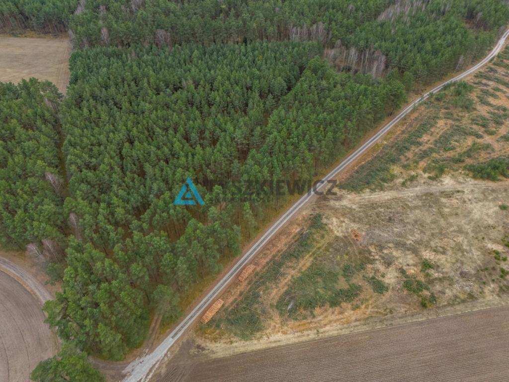 Działka leśna 6,72 ha | Jonki | gmina Konarzyny - zdjęcie 5