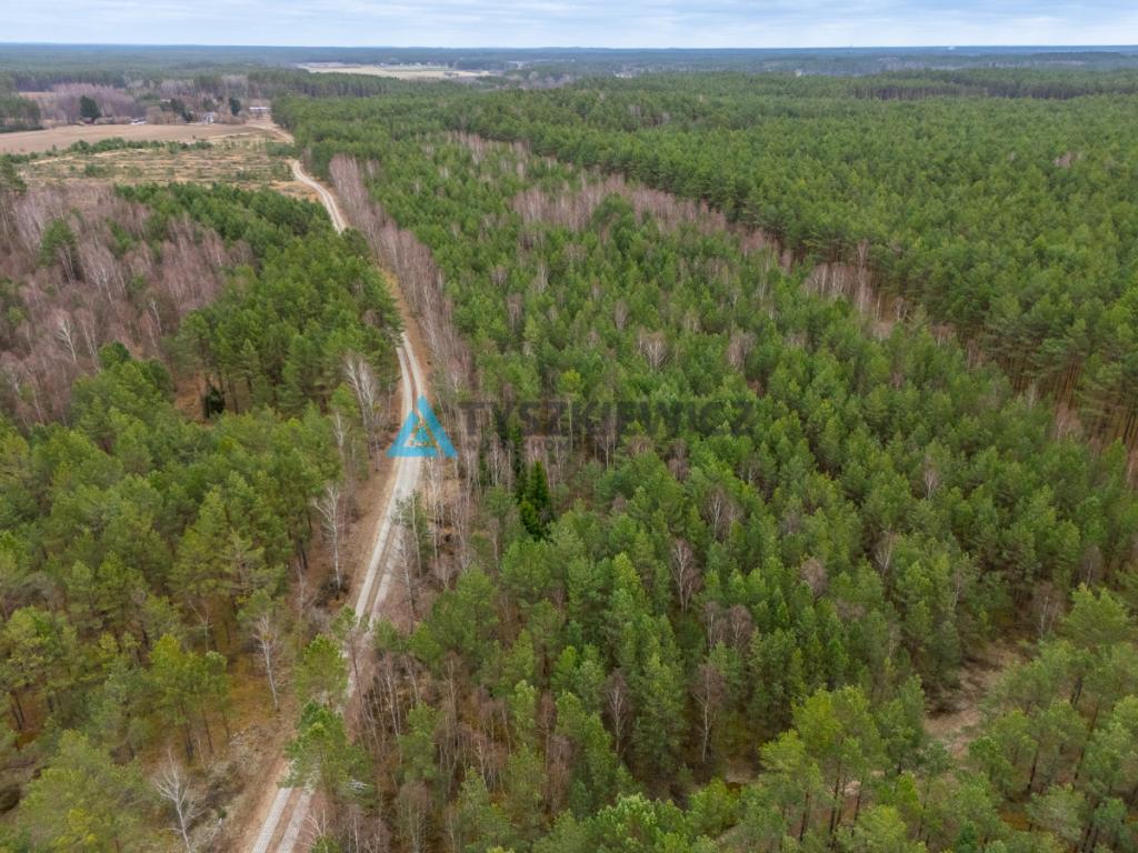 Działka leśna 6,72 ha | Jonki | gmina Konarzyny - zdjęcie 13