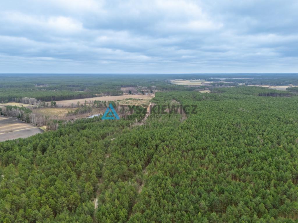 Działka leśna 6,72 ha | Jonki | gmina Konarzyny - zdjęcie 28