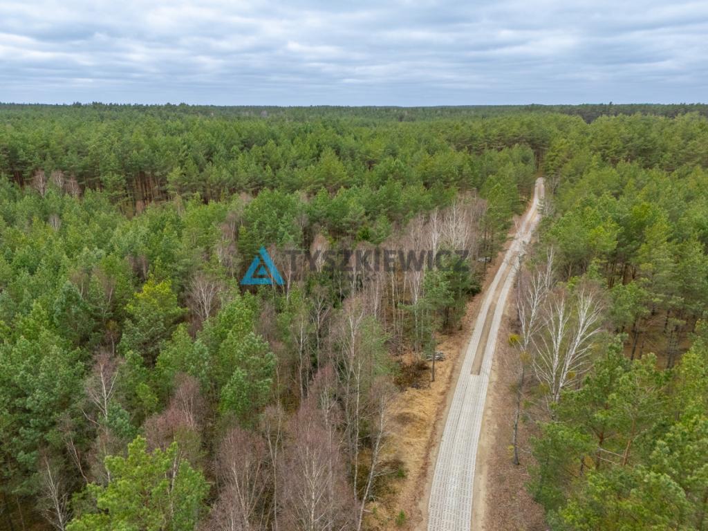 Działka leśna 6,72 ha | Jonki | gmina Konarzyny - zdjęcie 2