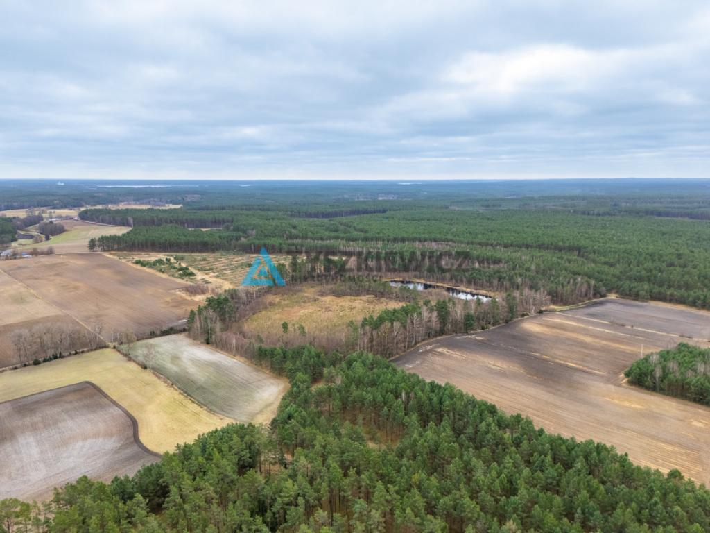 Działka leśna 6,72 ha | Jonki | gmina Konarzyny - zdjęcie 27