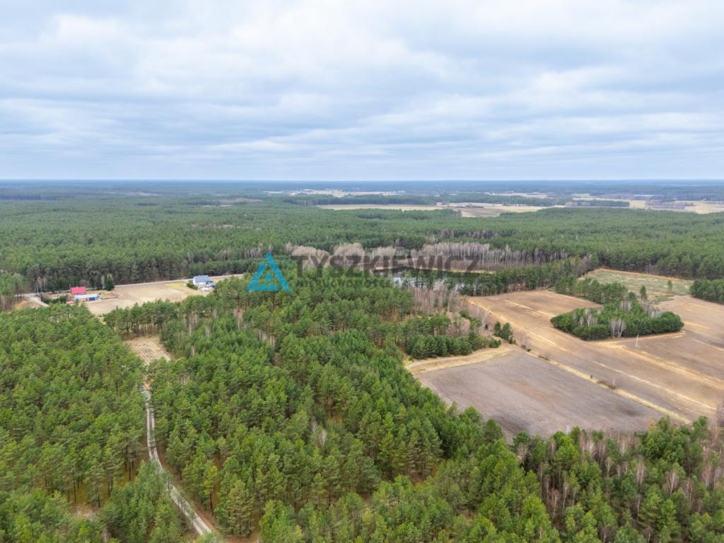 Działka leśna 6,72 ha | Jonki | gmina Konarzyny - zdjęcie 18