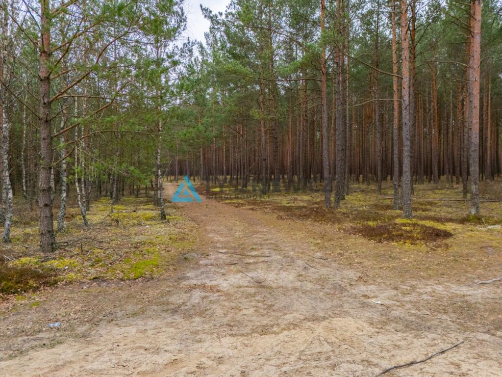 Działka leśna 6,72 ha | Jonki | gmina Konarzyny - zdjęcie 17