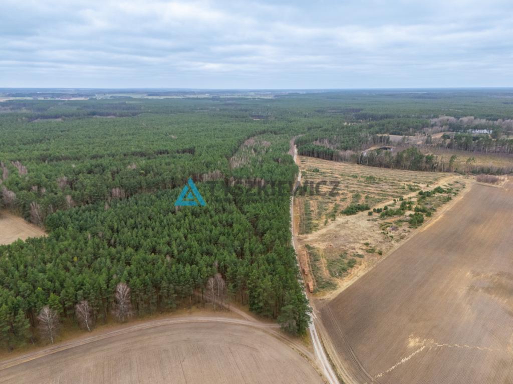 Działka leśna 6,72 ha | Jonki | gmina Konarzyny - zdjęcie 25