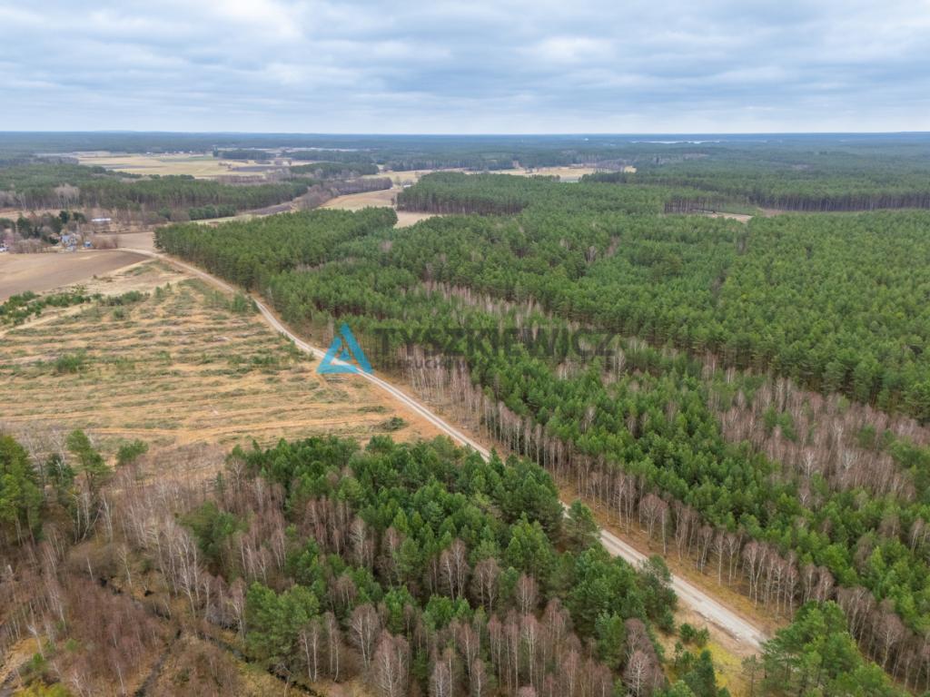 Działka leśna 6,72 ha | Jonki | gmina Konarzyny - zdjęcie 12