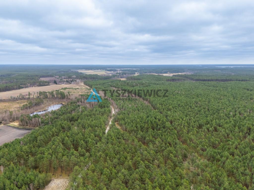 Działka leśna 6,72 ha | Jonki | gmina Konarzyny - zdjęcie 20