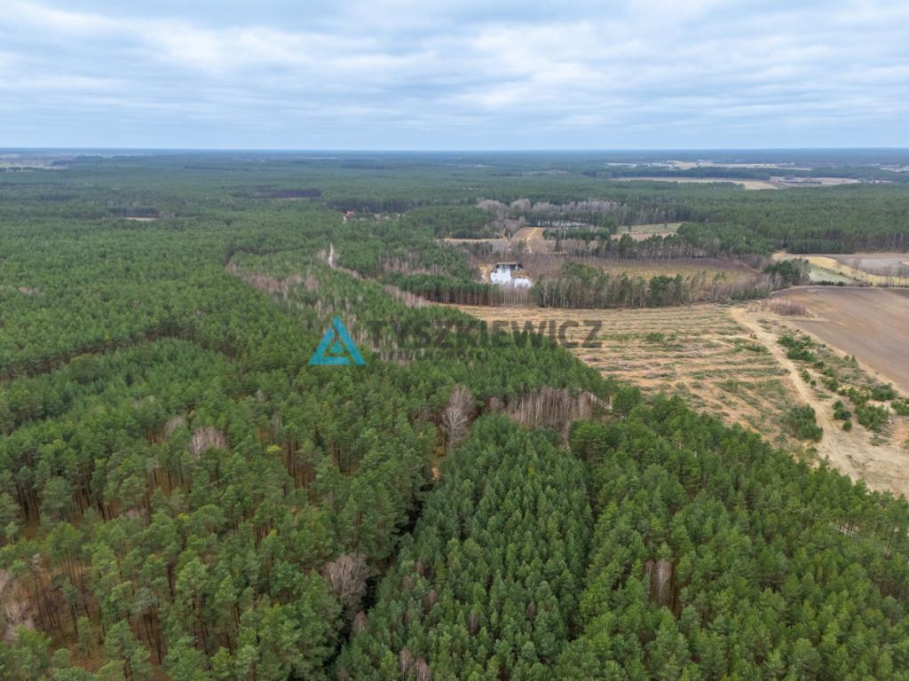 Działka leśna 6,72 ha | Jonki | gmina Konarzyny - zdjęcie 19