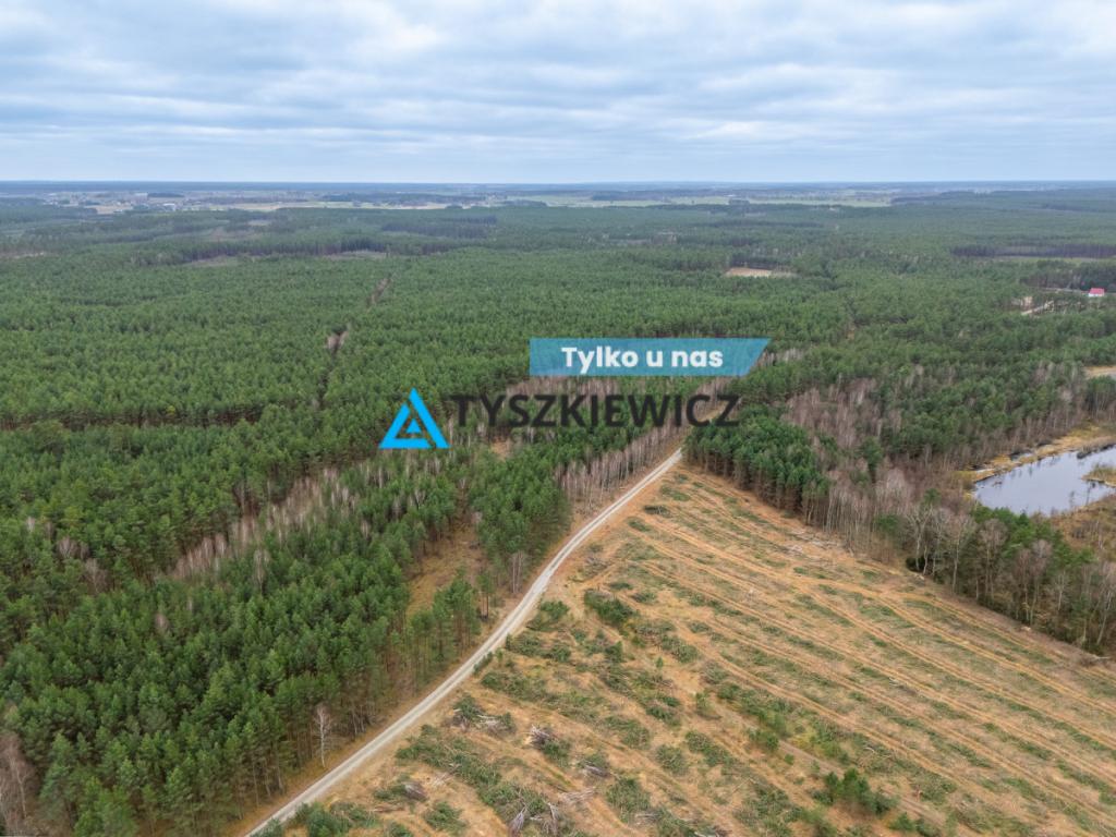 Działka leśna 6,72 ha | Jonki | gmina Konarzyny - zdjęcie 1