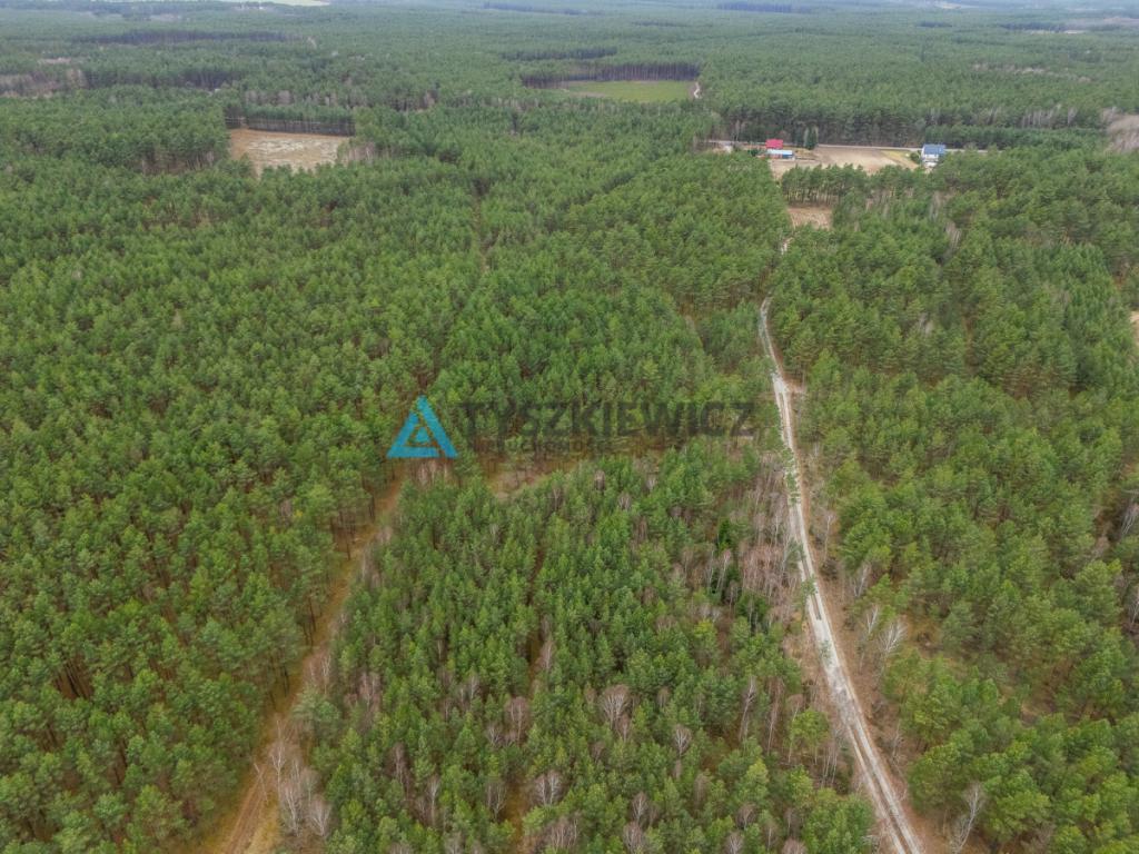 Działka leśna 6,72 ha | Jonki | gmina Konarzyny - zdjęcie 23