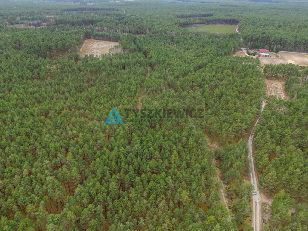 Działka leśna 6,72 ha | Jonki | gmina Konarzyny - zdjęcie 10