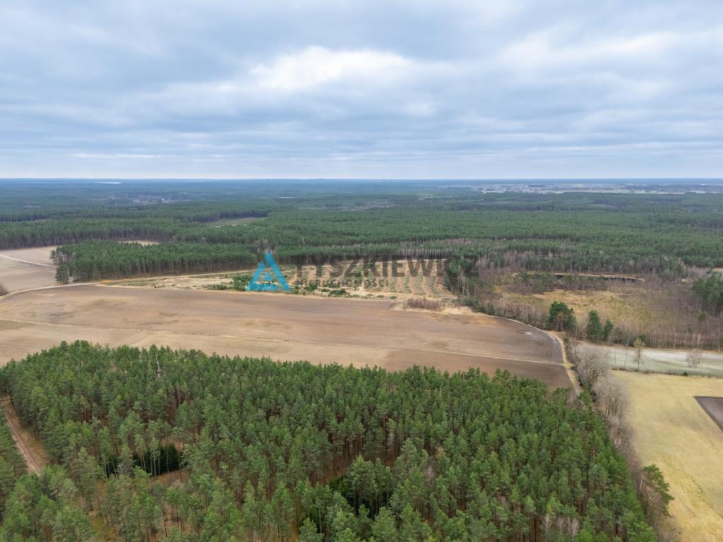 Działka leśna 6,72 ha | Jonki | gmina Konarzyny - zdjęcie 26