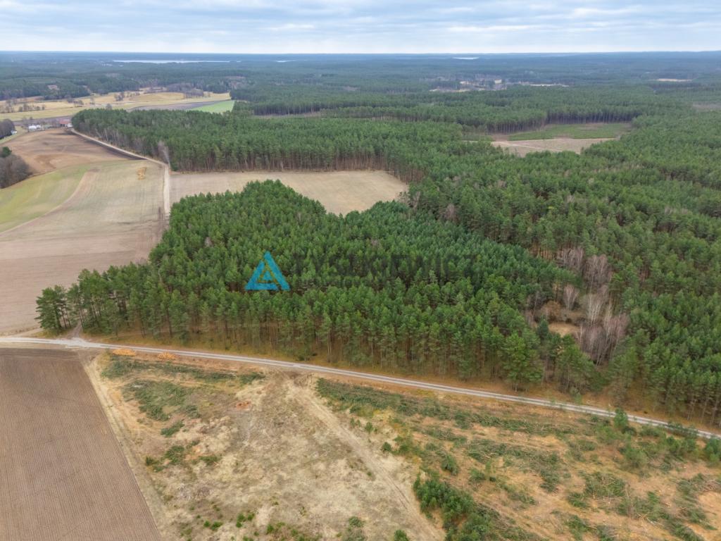 Działka leśna 6,72 ha | Jonki | gmina Konarzyny - zdjęcie 7