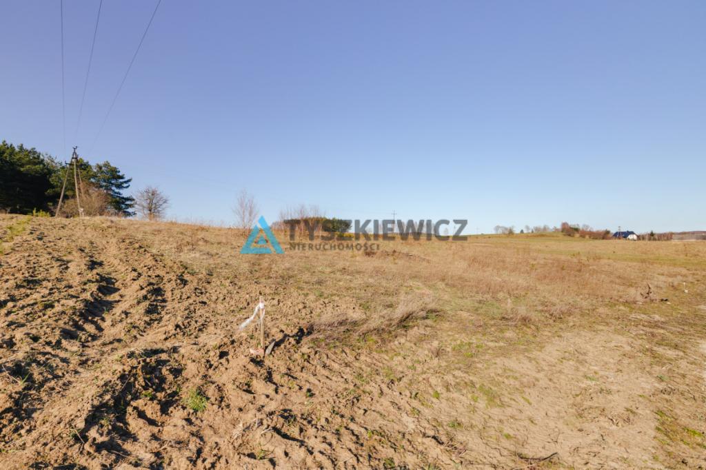 Działka budowlana w Szczodrowie - zdjęcie 12