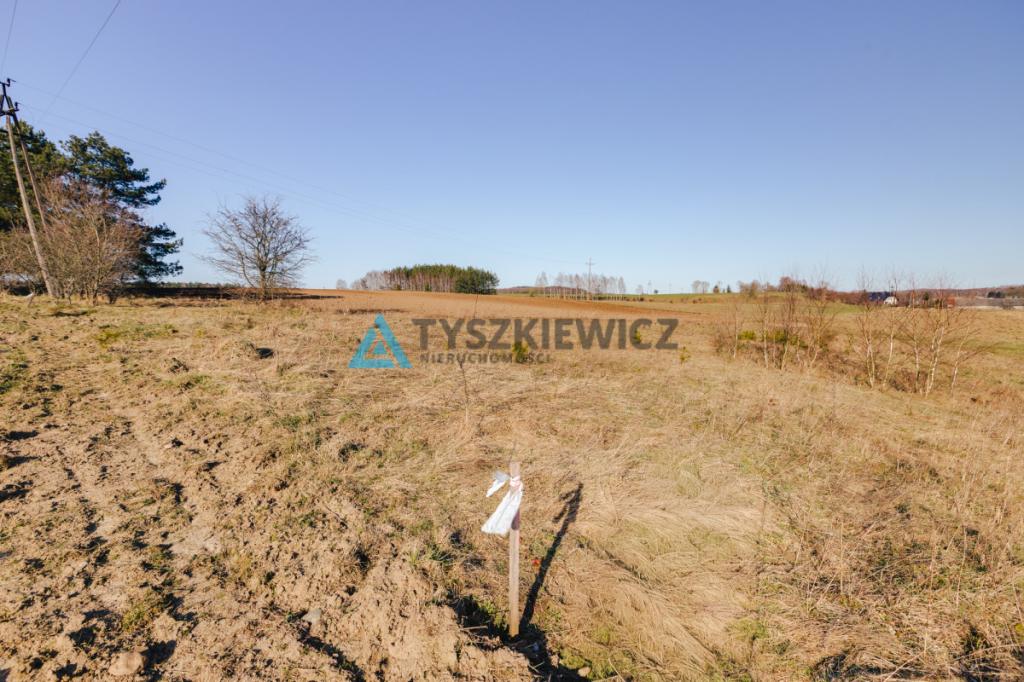 Działka budowlana w Szczodrowie - zdjęcie 15