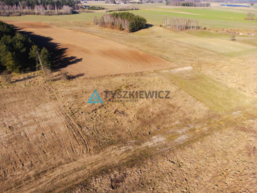 Działka budowlana w Szczodrowie - zdjęcie 5