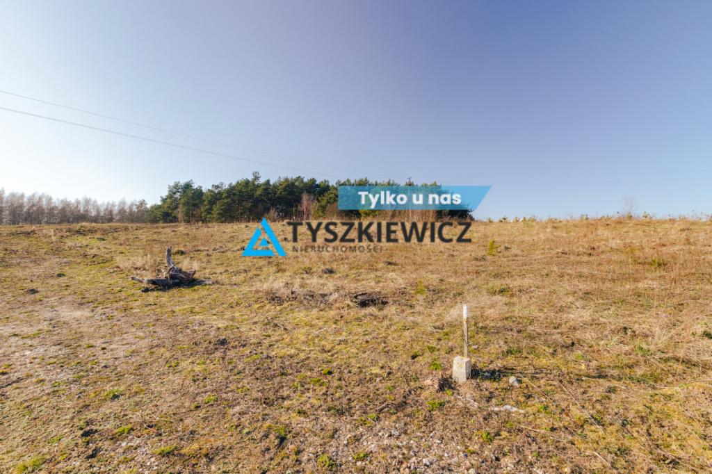 Działka budowlana w Szczodrowie - zdjęcie 1