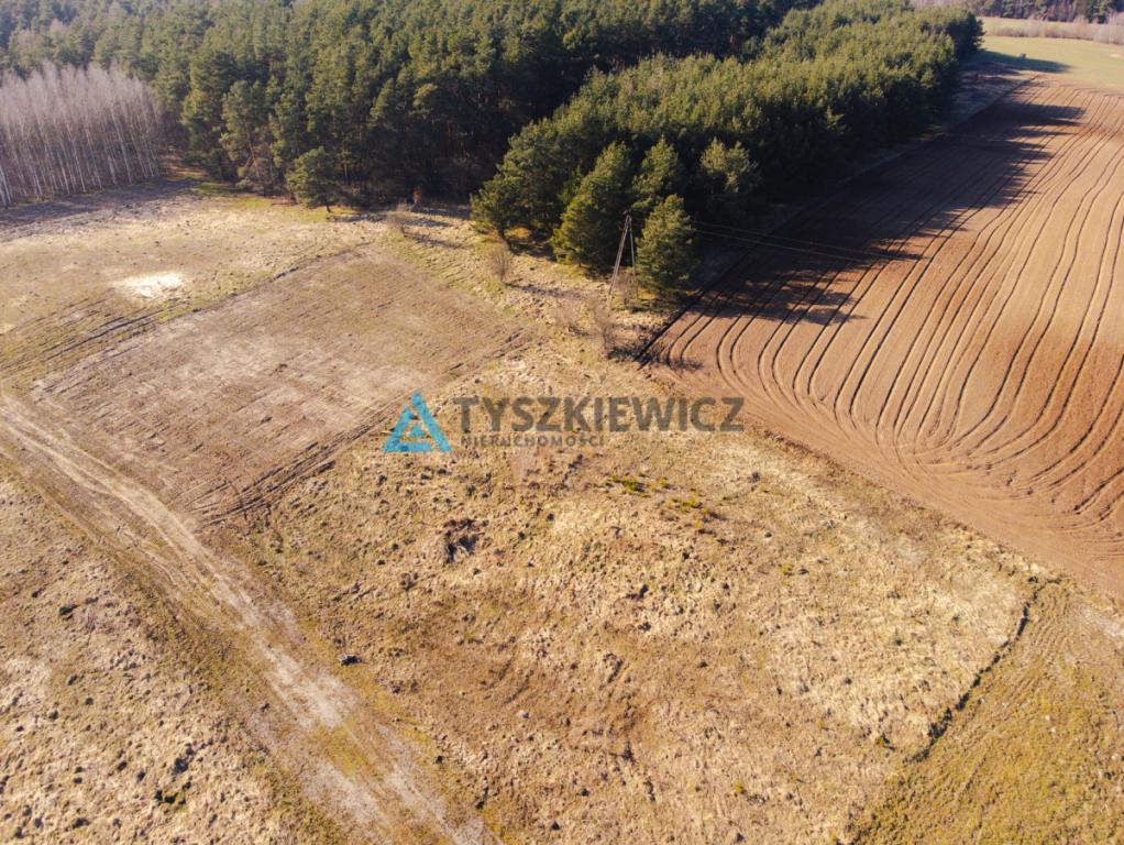 Działka budowlana w Szczodrowie - zdjęcie 4